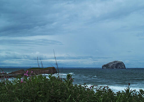 Steve Watson - Bass Rock Steve Watson - Bass Rock
