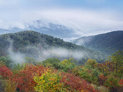 Tim Fitzharris - Broadleaf Forest In Fall Colors As Seen Tim Fitzharris - Broadleaf Forest In Fall Colors As Seen