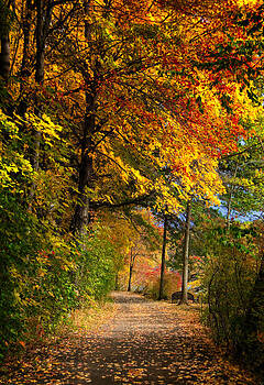 Fred LeBlanc - Fall Pathway Fred LeBlanc - Fall Pathway