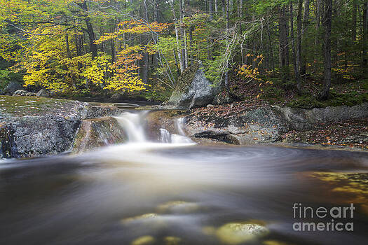 Erin Paul Donovan - Harvard Brook - Lincoln New Hampshire Erin Paul Donovan - Harvard Brook - Lincoln New Hampshire