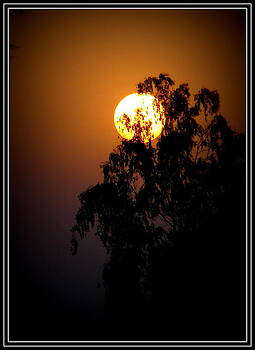 Anand Swaroop Manchiraju - SUN IN DIFFERENT MOODS Anand Swaroop Manchiraju - SUN IN DIFFERENT MOODS