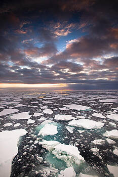 Colin Monteath - Ice Floes At Sunset Near Mertz Glacier Colin Monteath - Ice Floes At Sunset Near Mertz Glacier