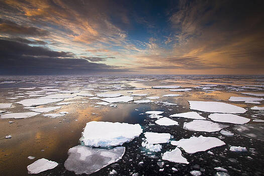 Colin Monteath - Ice Floes At Sunset Near Mertz Glacier Colin Monteath - Ice Floes At Sunset Near Mertz Glacier