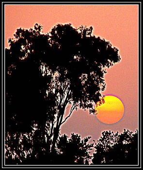 Anand Swaroop Manchiraju - RAISING SUN Anand Swaroop Manchiraju - RAISING SUN