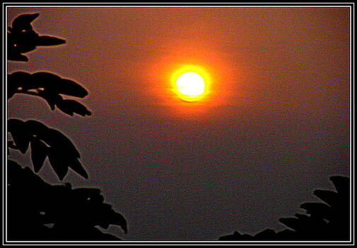 Anand Swaroop Manchiraju - RAISING SUN Anand Swaroop Manchiraju - RAISING SUN