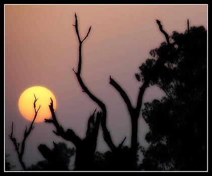 Anand Swaroop Manchiraju - SUN IN DIFFERENT MOODS Anand Swaroop Manchiraju - SUN IN DIFFERENT MOODS