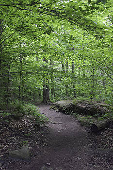 Wes and Dotty Weber - A Walk in the Catskills Wes and Dotty Weber - A Walk in the Catskills