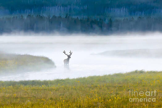 Janet Fikar - A Wilderness Oasis Janet Fikar - A Wilderness Oasis