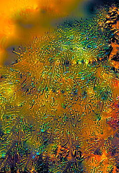 Pamela Cooper - Abstract 63 Pamela Cooper - Abstract 63