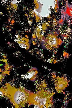 Pamela Cooper - Abstract 84 Pamela Cooper - Abstract 84