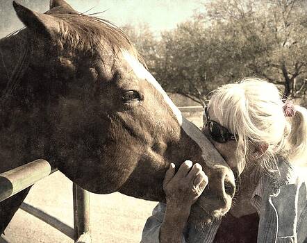 Regina Arnold - Affectionate Stallion Regina Arnold - Affectionate Stallion