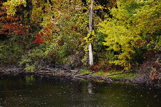 Scott Hovind - Autumn Pond Scott Hovind - Autumn Pond