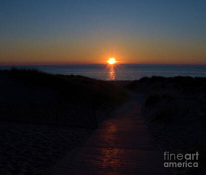 Tim Mulina - Beach Sunset Tim Mulina - Beach Sunset