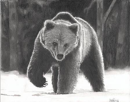 Christian Conner - Bear Necessities Christian Conner - Bear Necessities