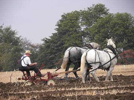 Peggy McDonald - Bickleshire Farm Team Peggy McDonald - Bickleshire Farm Team