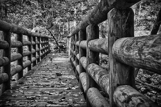 James Woody - Bridge Near Cascade Falls James Woody - Bridge Near Cascade Falls