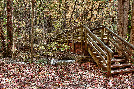 James Woody - Bridge over stream near Cascade Falls James Woody - Bridge over stream near Cascade Falls