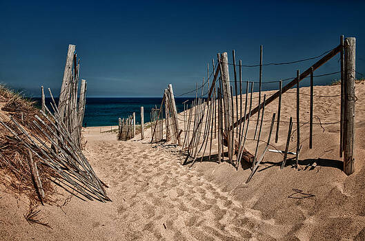 Fred LeBlanc - Cape Cod Pathway Fred LeBlanc - Cape Cod Pathway