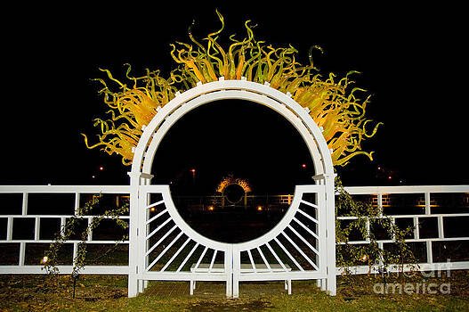 Tim Mulina - Chihuly Flaming Arch Tim Mulina - Chihuly Flaming Arch