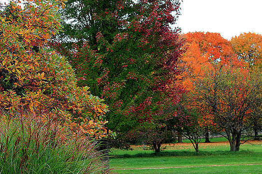 Scott Hovind - Distant Fall Color Scott Hovind - Distant Fall Color