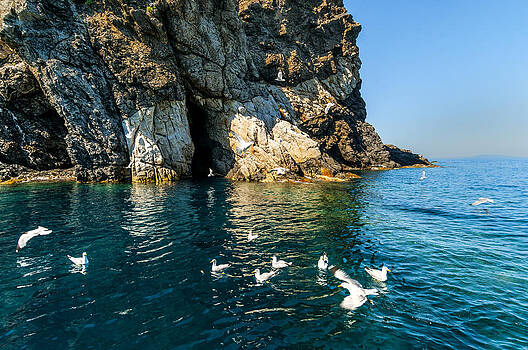 Enrico Pelos - ELBA ISLAND - Seagulls coast 3 - - Costa dei Gabbiani 3 - ph Enrico Pelos Enrico Pelos - ELBA ISLAND - Seagulls coast 3 - - Costa dei Gabbiani 3 - ph Enrico Pelos