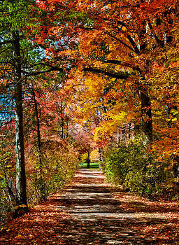 Fred LeBlanc - Fall Pathway Fred LeBlanc - Fall Pathway