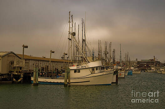 Tim Mulina - Fishing Fleet at Sunset Tim Mulina - Fishing Fleet at Sunset