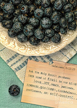 Jill Battaglia - Fruit of the Spirit 2 Jill Battaglia - Fruit of the Spirit 2