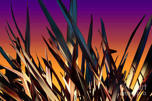 Ellen Cotton - Graphic Grass Ellen Cotton - Graphic Grass