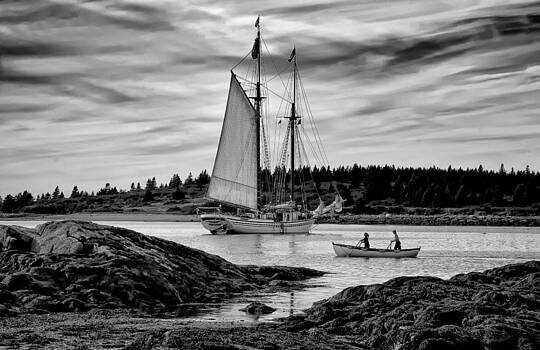 Fred LeBlanc - Heritage Anchored Fred LeBlanc - Heritage Anchored