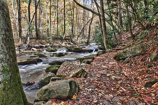 James Woody - Hiking Trail to Cascade Falls James Woody - Hiking Trail to Cascade Falls