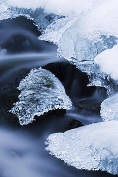 Heike Odermatt - Ice Patches In Stream, Bavarian Forest Heike Odermatt - Ice Patches In Stream, Bavarian Forest