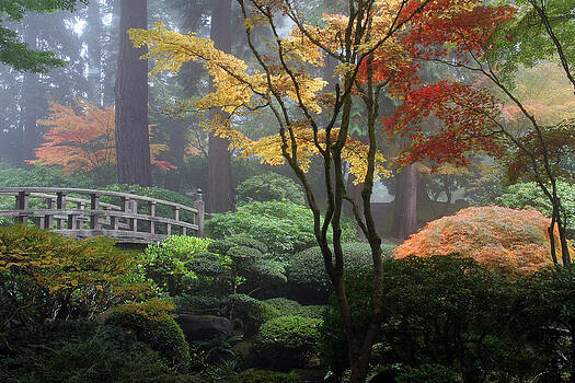 Wes and Dotty Weber - Japanese Gardens Fall Wes and Dotty Weber - Japanese Gardens Fall