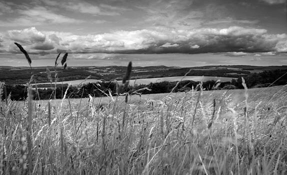 Mariusz Zawadzki - landscape Mariusz Zawadzki - landscape