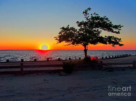Susan Carella - Lavallette Summer Susan Carella - Lavallette Summer