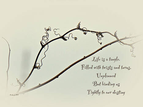Mother Nature - Life is a Tangle Mother Nature - Life is a Tangle