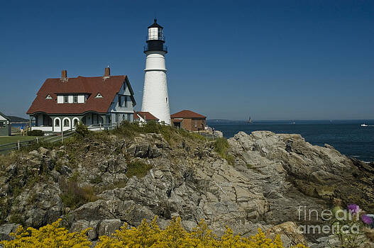 Tim Mulina - Lighthouse and Flowers Tim Mulina - Lighthouse and Flowers