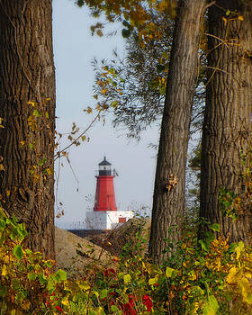 Ms Judi - Lighthouse Mist Ms Judi - Lighthouse Mist