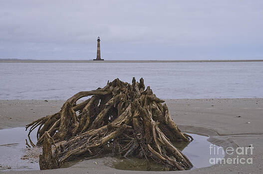 Tim Mulina - Morris Island Lighthouse and Stump - Horizontal Tim Mulina - Morris Island Lighthouse and Stump - Horizontal