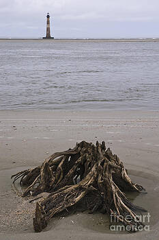 Tim Mulina - Morris Island Lighthouse and Stump Tim Mulina - Morris Island Lighthouse and Stump