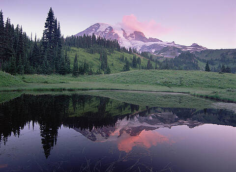 Tim Fitzharris - Mt Rainier Reflected In Lake Mt Rainier Tim Fitzharris - Mt Rainier Reflected In Lake Mt Rainier