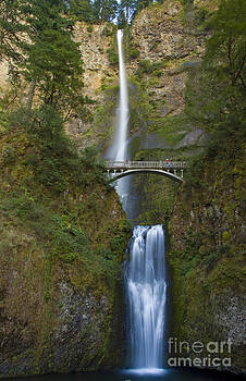 Tim Mulina - Multnomah Falls 1 Tim Mulina - Multnomah Falls 1