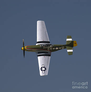 Tim Mulina - P-51 Gunfighter Tim Mulina - P-51 Gunfighter