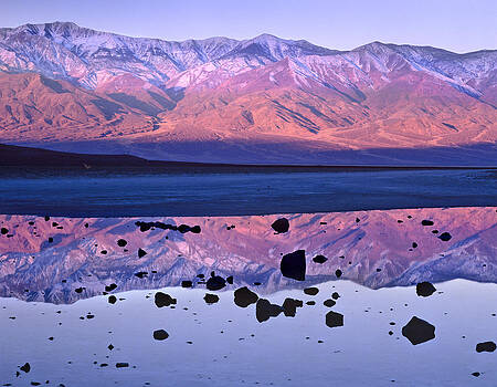 Tim Fitzharris - Panamint Range Reflected In Standing Tim Fitzharris - Panamint Range Reflected In Standing