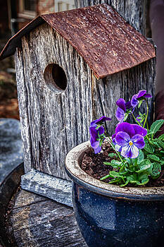 James Woody - Rustic Bird House James Woody - Rustic Bird House