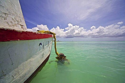 David Letts - Rustic Fishing Boat of Aruba David Letts - Rustic Fishing Boat of Aruba