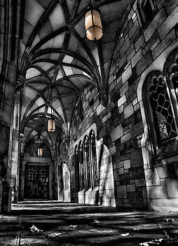 Steve Zimic - Shadowed Walkway Steve Zimic - Shadowed Walkway