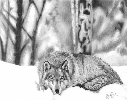 Christian Conner - Sleeping in the Snow Christian Conner - Sleeping in the Snow