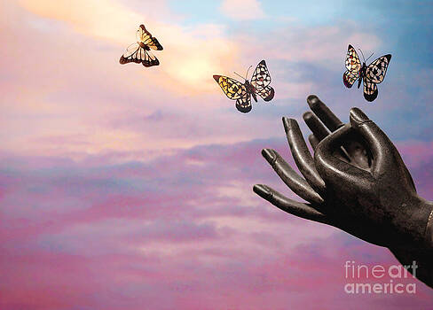 Ellen Cotton - Spread your wings and fly Ellen Cotton - Spread your wings and fly