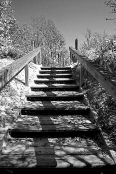 Michelle Constantine - Stairway to the Sound Michelle Constantine - Stairway to the Sound